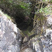 Picture 254